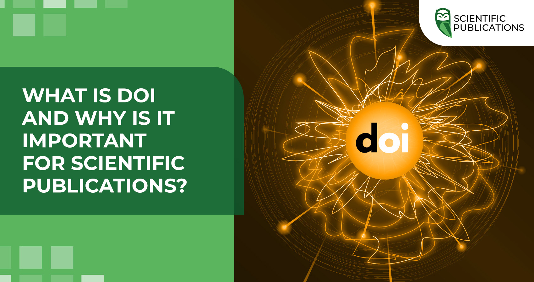 What is DOI and why is it important for scientific publications?