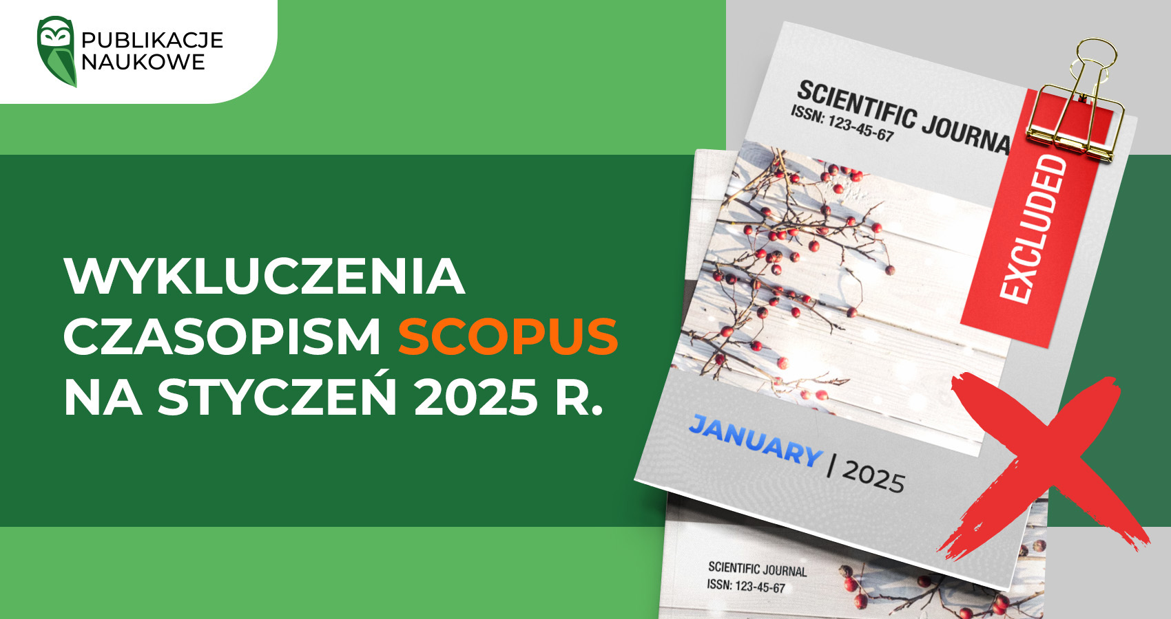 Wykluczenia czasopism Scopus na styczeń 2025 r.
