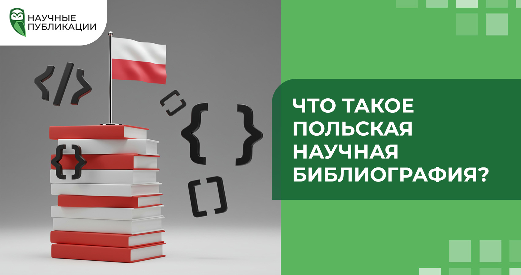 Что такое Польская научная библиография?