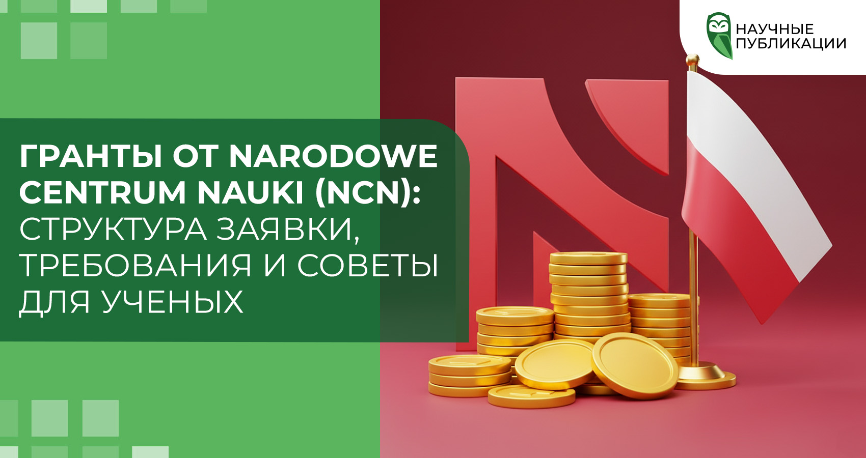 Гранты от Narodowe Centrum Nauki (NCN): структура заявки, требования и советы для ученых