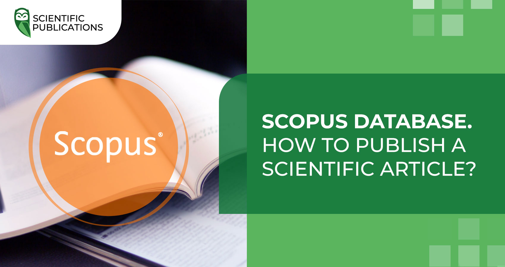 Scopus database. How to publish a scientific article?