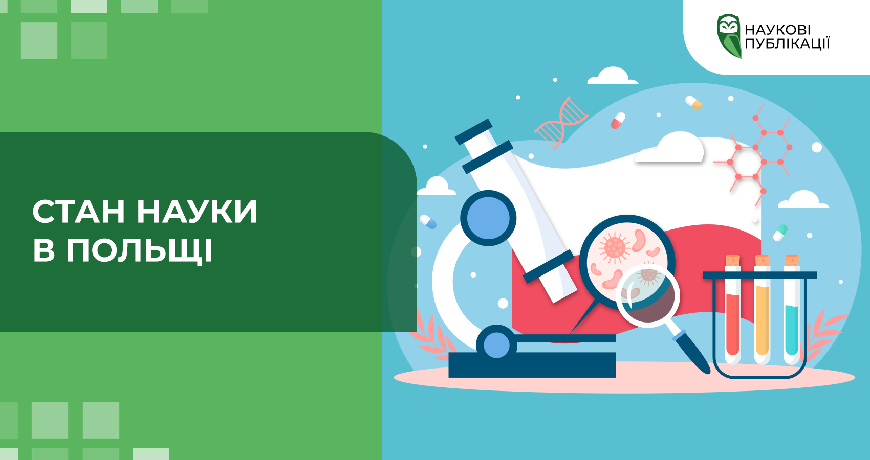 Стан науки в Польщі