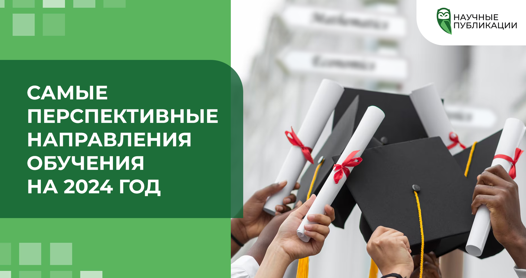 Самые перспективные направления обучения на 2024 год