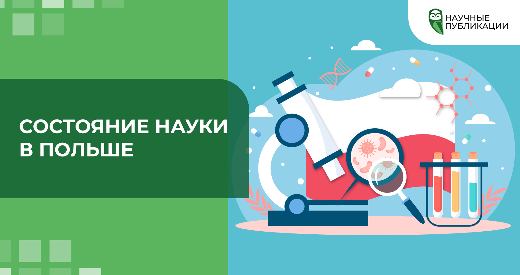Состояние науки в Польше