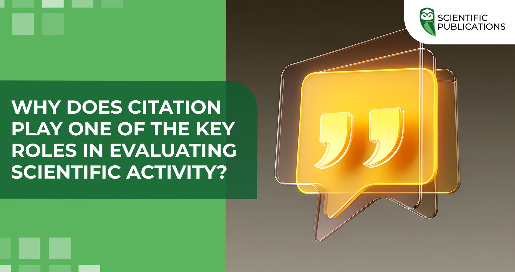 Why does citation play one of the key roles in evaluating scientific activity?